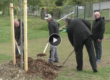 Video von der Baumpflanzaktion