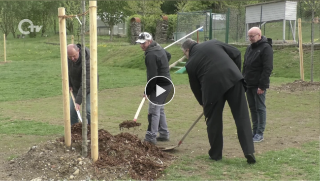 Waldthurn: Baumpflanzaktion „Streuobstwiese“ Video von der Baumpflanzaktion