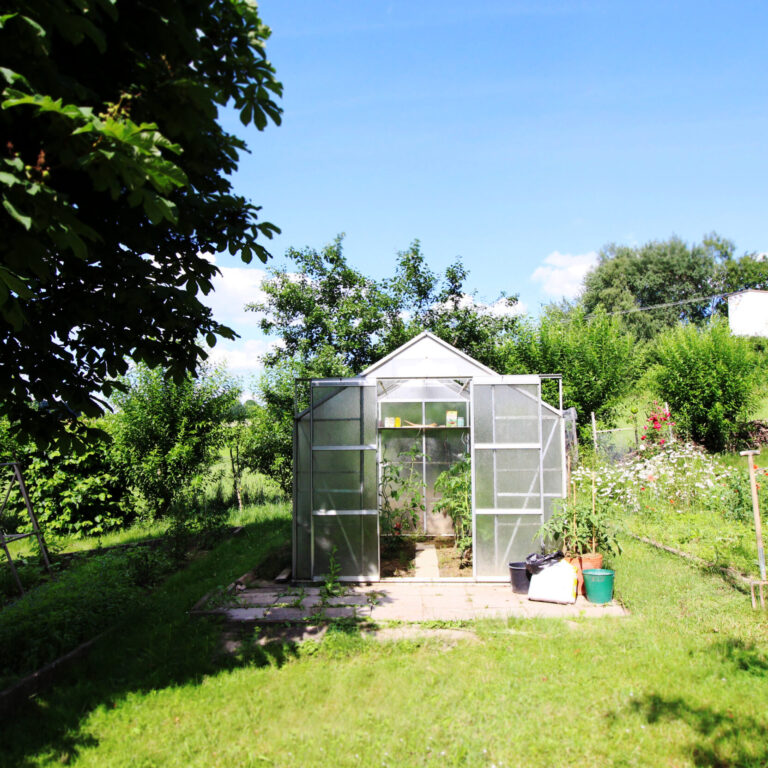 Gewächshaus steht in einem Sonnigen, Grünen Garten.