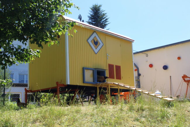 Ein auffällig gelber Hühnerstall mit Symbolen und Rampe, daneben ein weißes Gebäude; ein Huhn verlässt gerade das Stallfenster.