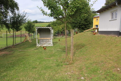 Mehrere Hühner laufen in einem umzäunten, grünen Außengehege mit Bäumen, einer Sitzhütte und Blick auf den gelben Hühnerstall.