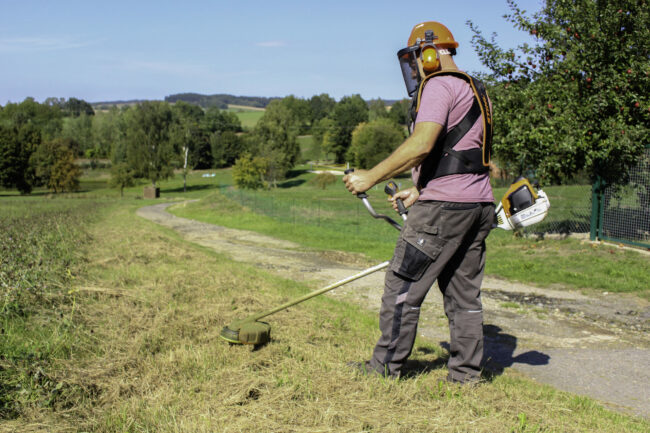 Arbeiten mit Motorsense – Thema: Landschaftspflege