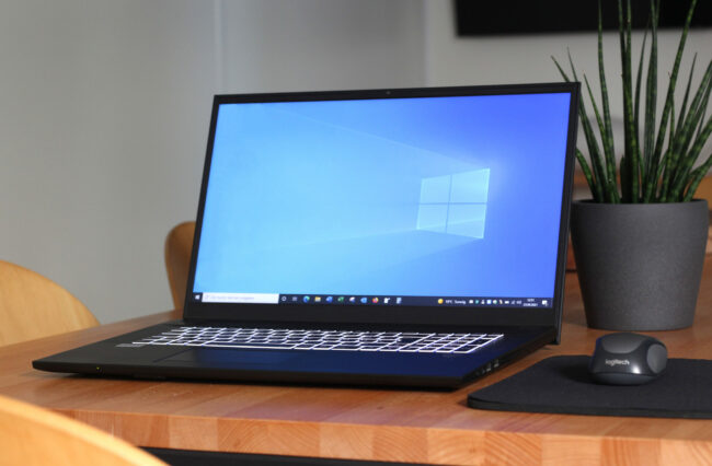 Computer steht neben einem Mauspad mit Maus und einer Pflanze auf einem Tisch. Der Bilschirm zeigt ein Hintergrundbild von Windows.