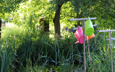 Mehrere farbige Gießkannen hängen aufgereiht an Holzpfählen in einem dicht bewachsenen Garten mit Teich und Bäumen.
